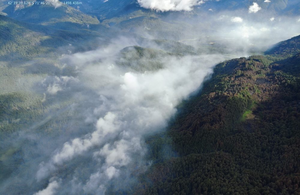 03-02-2026 - Incendio PNLA - Crédito Ph Parques Nacionales 0