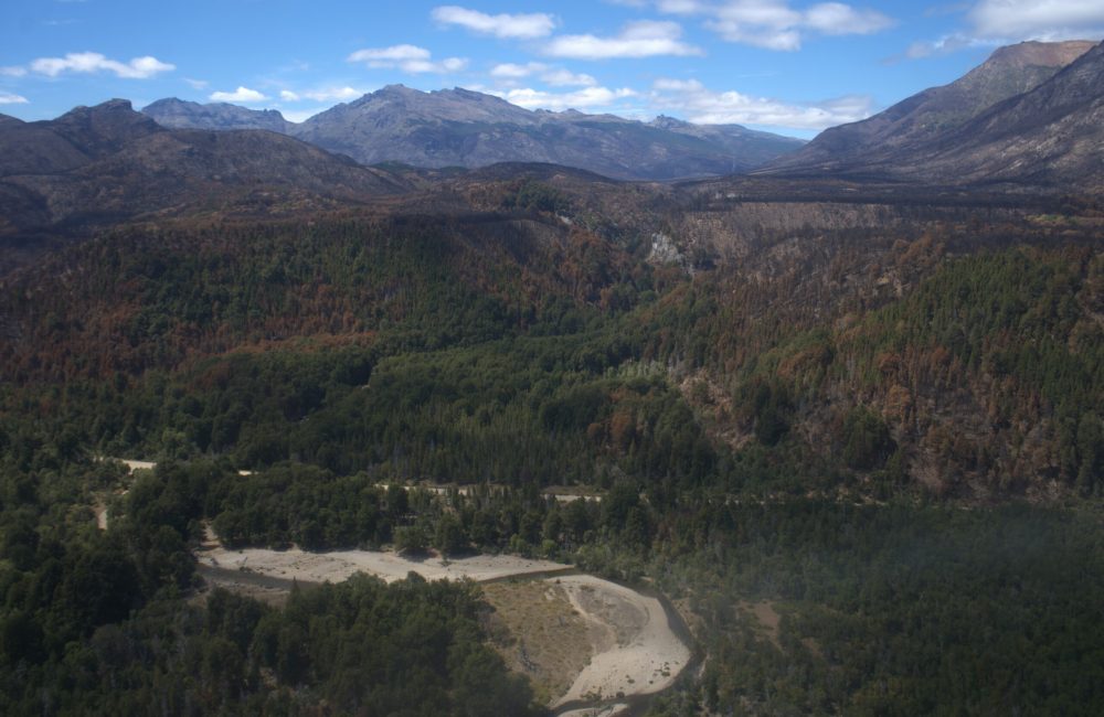 06-02-2026 - Incendio PNLA - Crédito Ph Parques Nacionales 07