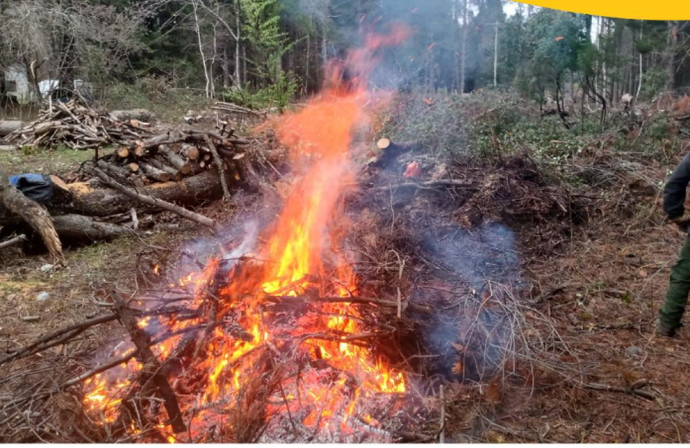 Captura de pantalla 2025-10-10 162940