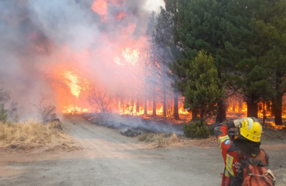 Captura de pantalla 2025-10-20 172440
