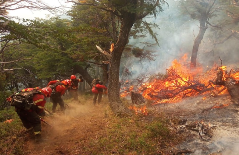 Captura de pantalla 2025-11-12 121559
