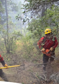 Captura de pantalla 2025-11-19 091851