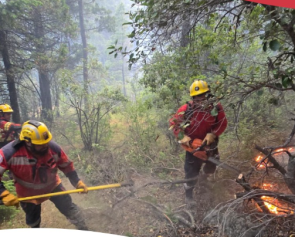 Captura de pantalla 2025-11-19 091851