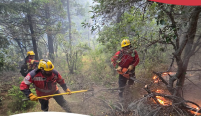 Captura de pantalla 2025-11-19 091851