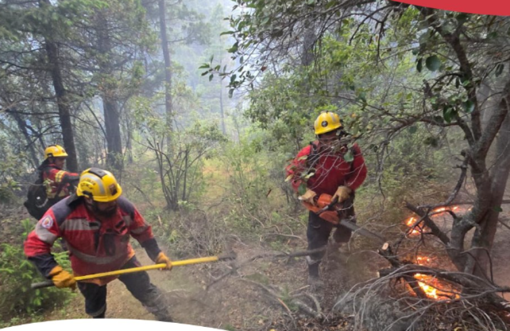 Captura de pantalla 2025-11-19 091851