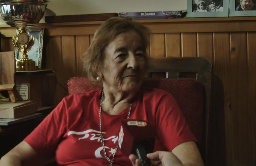 Captura de pantalla 2025-11-28 175317