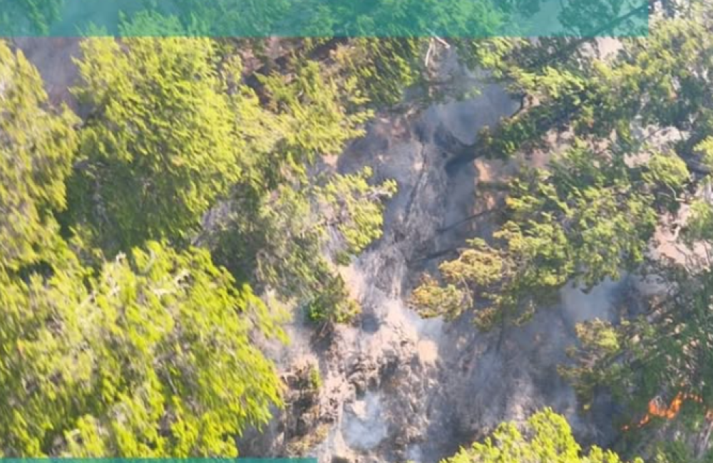 Captura de pantalla 2025-12-10 181408