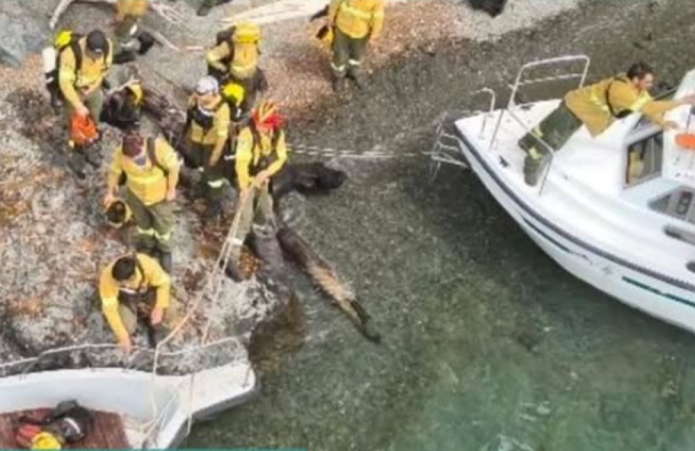 Captura de pantalla 2025-12-11 124011