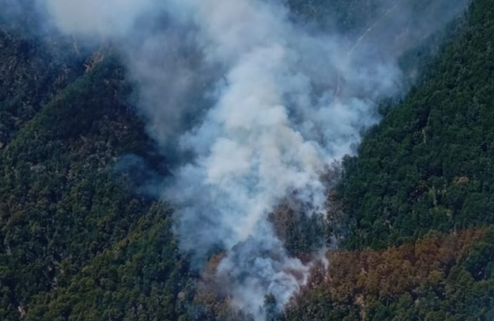 Captura de pantalla 2025-12-13 130711