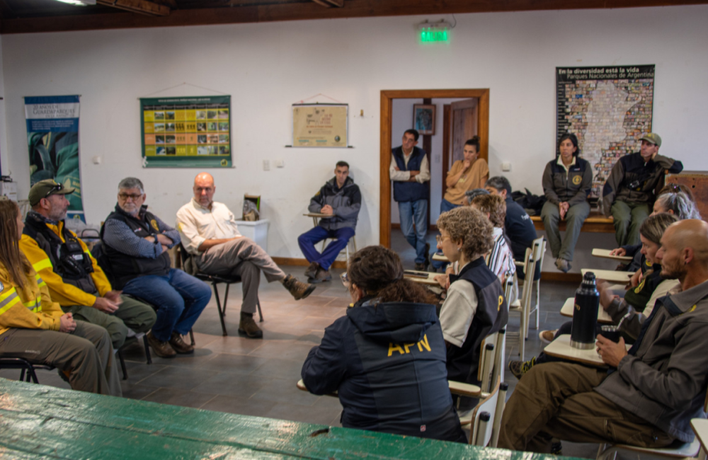 Captura de pantalla 2026-01-28 165315