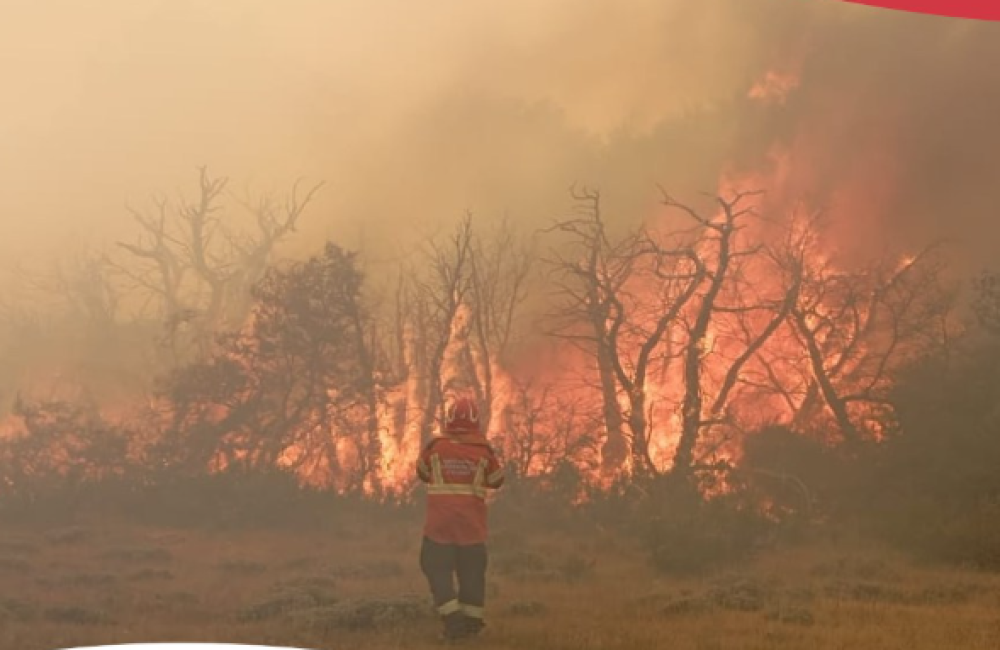Captura de pantalla 2026-02-01 231007