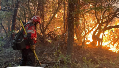 Captura de pantalla 2026-02-02 215007