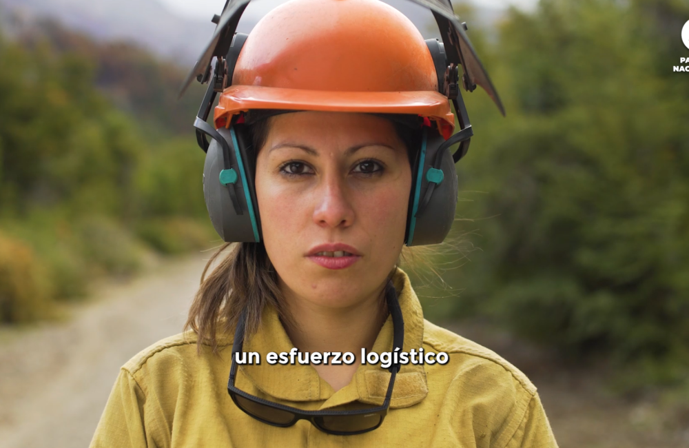 Captura de pantalla 2026-02-05 210000