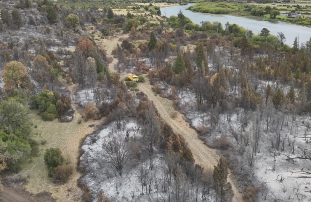 Captura de pantalla 2026-03-02 163958