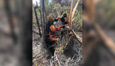 Captura de pantalla 2026-03-04 150437