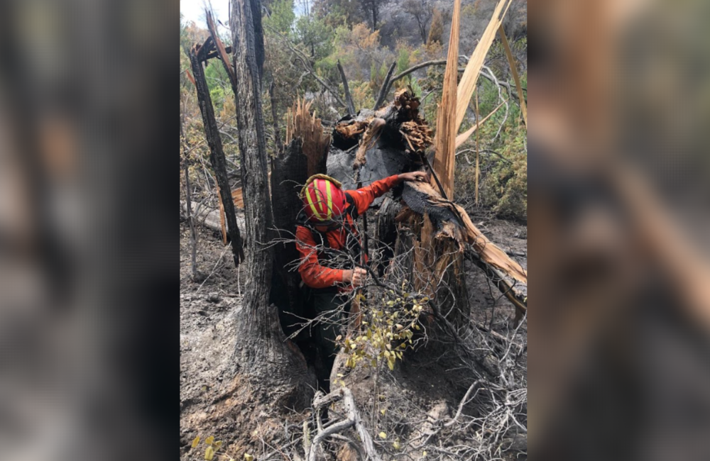 Captura de pantalla 2026-03-04 150437