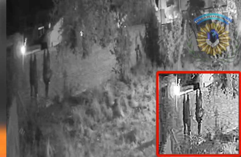 Captura de pantalla 2026-03-10 105625