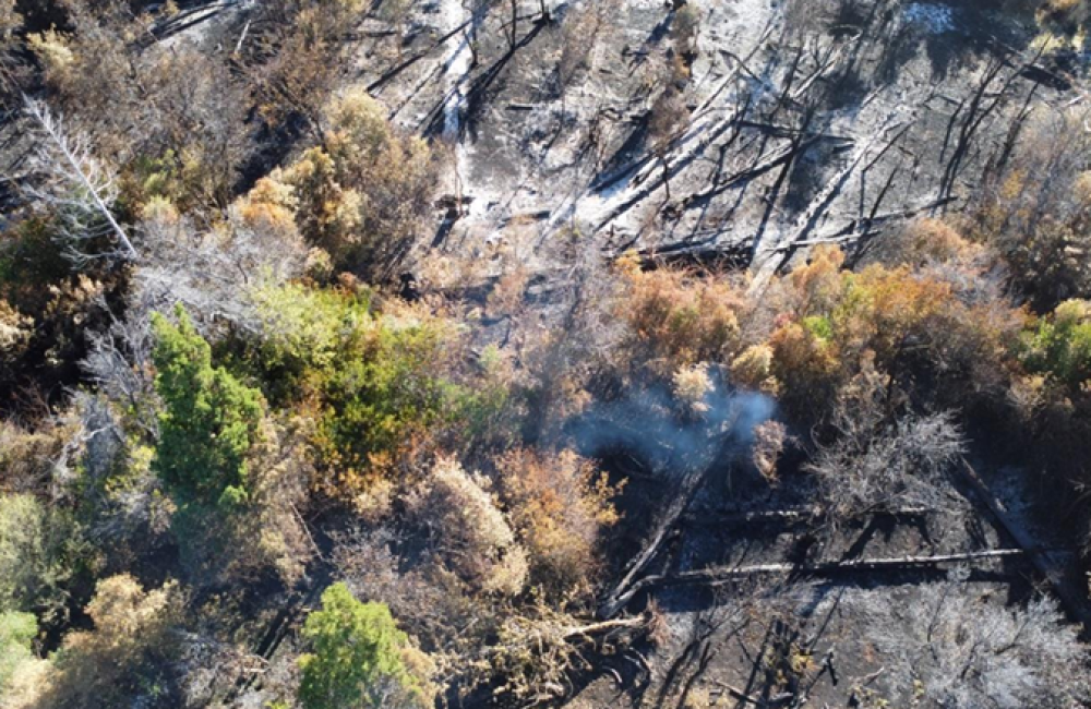 Captura de pantalla 2026-03-11 185508