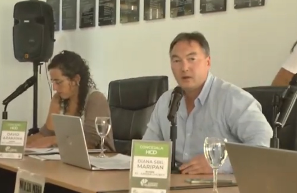 Captura de pantalla 2026-03-12 160613