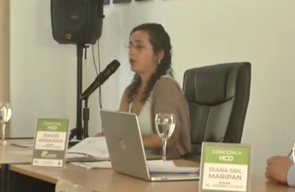 Captura de pantalla 2026-03-12 160941