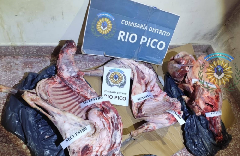 Captura de pantalla 2026-03-14 000522