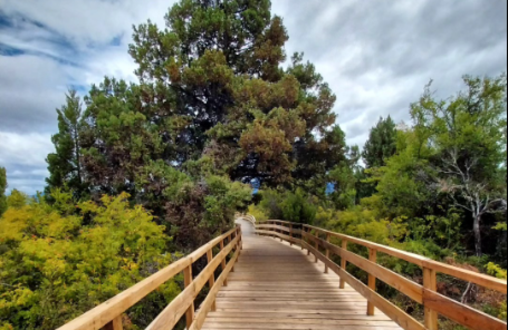 Captura de pantalla 2026-04-06 004428