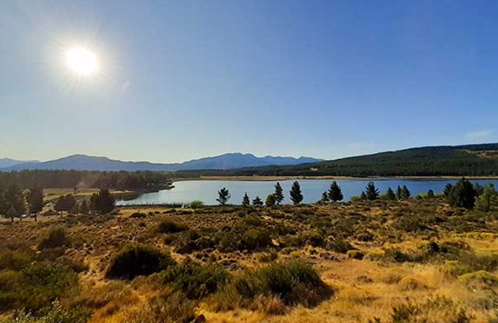 Captura de pantalla 2026-04-14 231118