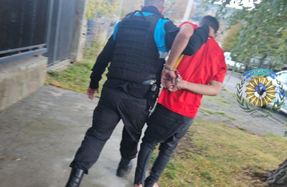 Captura de pantalla 2026-04-26 121840