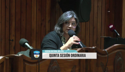 Captura de pantalla 2026-05-11 153319