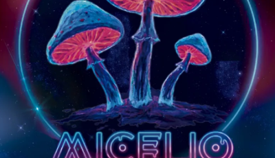 Captura de pantalla 2026-05-28 144752