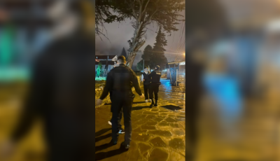 Captura de pantalla 2026-07-27 143017