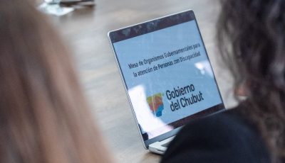 Discapacidad (3)