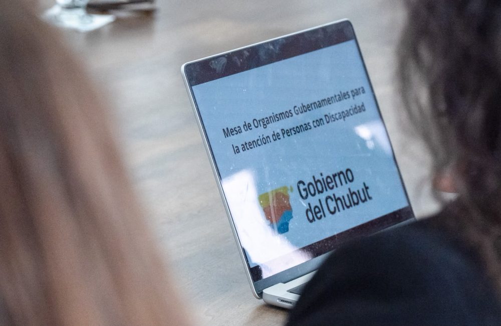 Discapacidad (3)