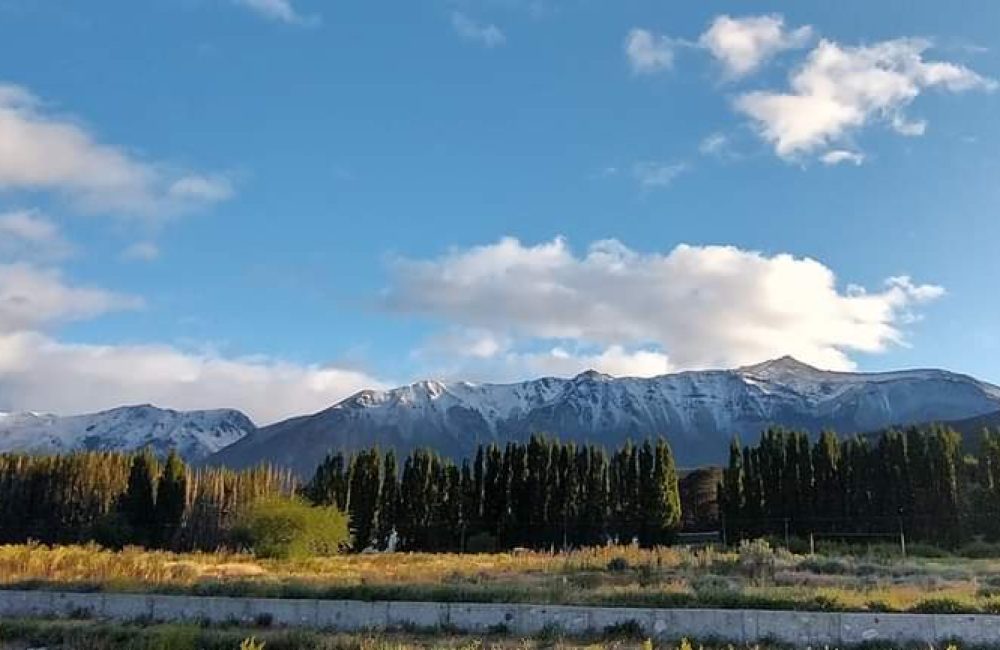 FB_IMG_1704969238884