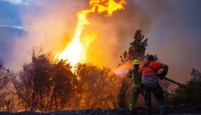 Emergencia en Cholila: El fuego ha rodeado la localidad, provocando cortes de luz y momentos de extrema desesperación entre los vecinos. El incendio cruzó la Ruta 71 y mantiene frentes activos muy cerca de las viviendas.

Hectáreas afectadas: En toda la provincia de Chubut, se estima que el fuego ya ha arrasado más de 35.000 hectáreas durante esta temporada de enero de 2026.
Origen de los focos: La situación en Cholila se agravó por la combinación de un incendio iniciado el 4 de enero en el sector "Campo de Pérez" y el avance de focos provenientes del Parque Nacional Los Alerces y Epuyén.
Condiciones climáticas: Las ráfagas de viento de más de 50 km/h y las altas temperaturas han dificultado las tareas de contención, impidiendo en ocasiones el uso de medios aéreos debido a la nula visibilidad por el humo.

Emergency in Cholila: Fire has surrounded the town, causing power outages and moments of extreme desperation among residents. The fire has crossed Route 71 and continues to burn very close to homes.

Area affected: Throughout the province of Chubut, it is estimated that fire has already ravaged more than 35,000 hectares during this January 2026 season.
Origin of the fires: The situation in Cholila worsened due to a fire that started on January 4 in the "Campo de Pérez" area and the spread of fires originating from Los Alerces National Park and Epuyén.
Weather conditions: Wind gusts exceeding 50 km/h and high temperatures have hampered containment efforts, sometimes preventing the use of aircraft due to zero visibility caused by the smoke.
