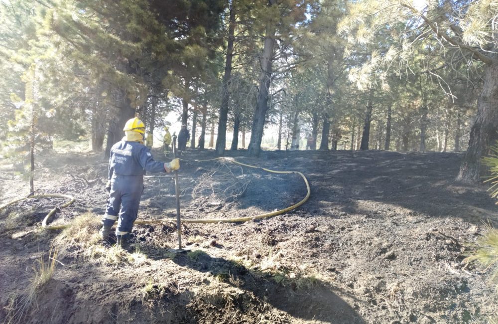 Incendio en La Zeta (1)