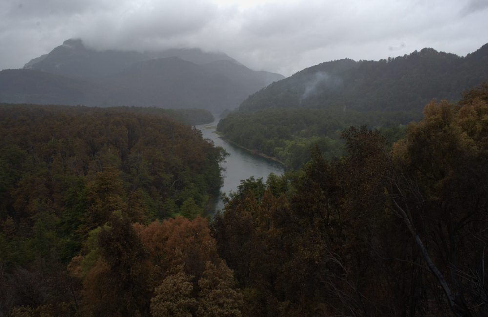 PNLA 14-01-26 Ph Parques Nacionales 06