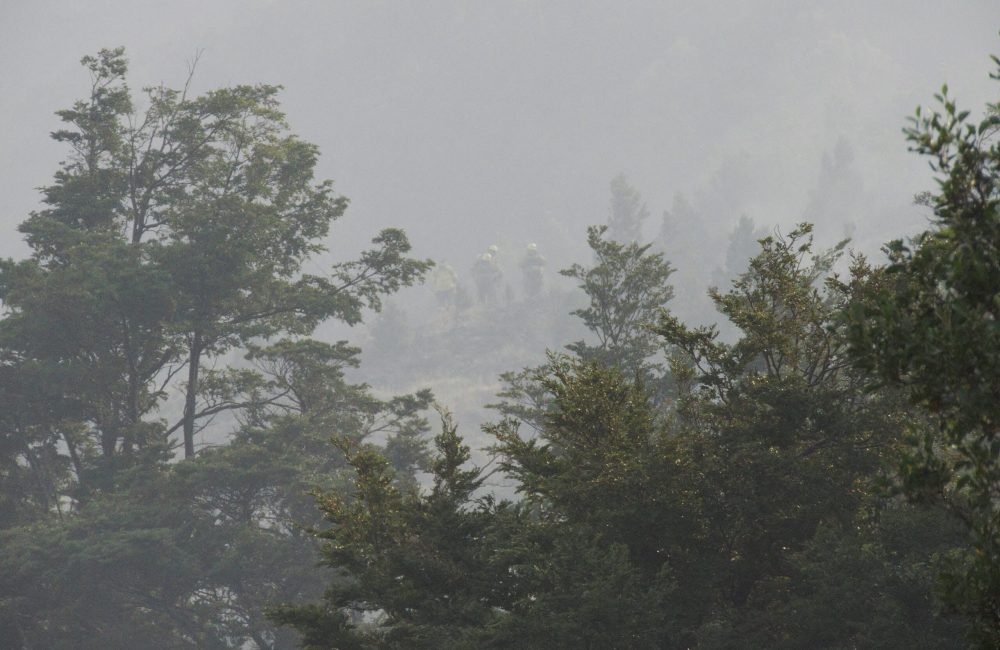 PNLA 18-01-26 Ph Parques Nacionales 13