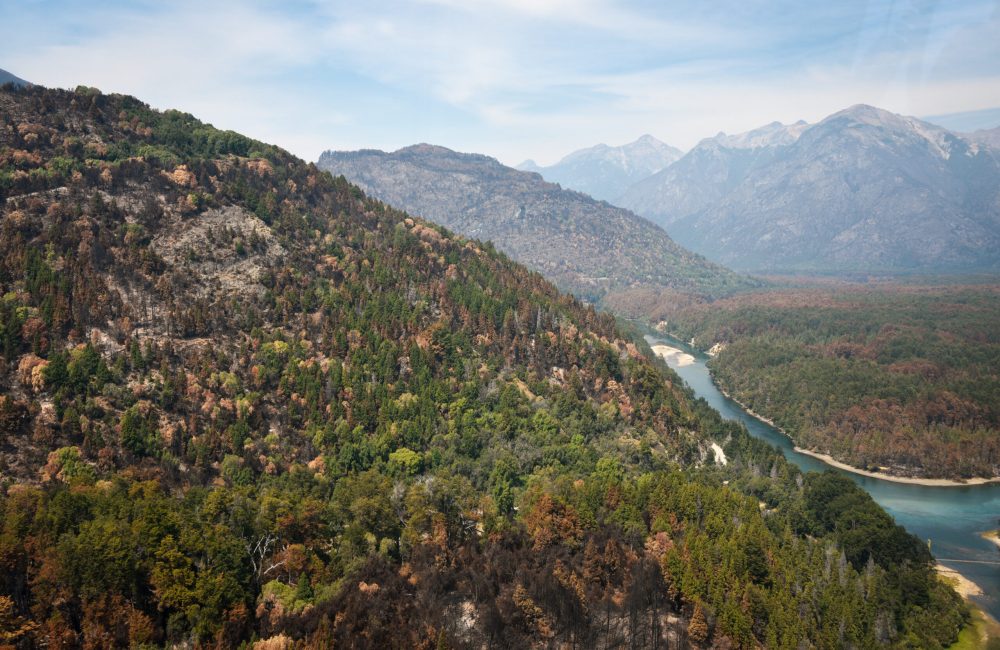 PNLA 30-01-26 Parques Nacionales 04