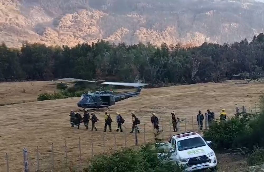 Video - Operativo traslado por medios aéreos.00_00_58_22.Imagen fija001