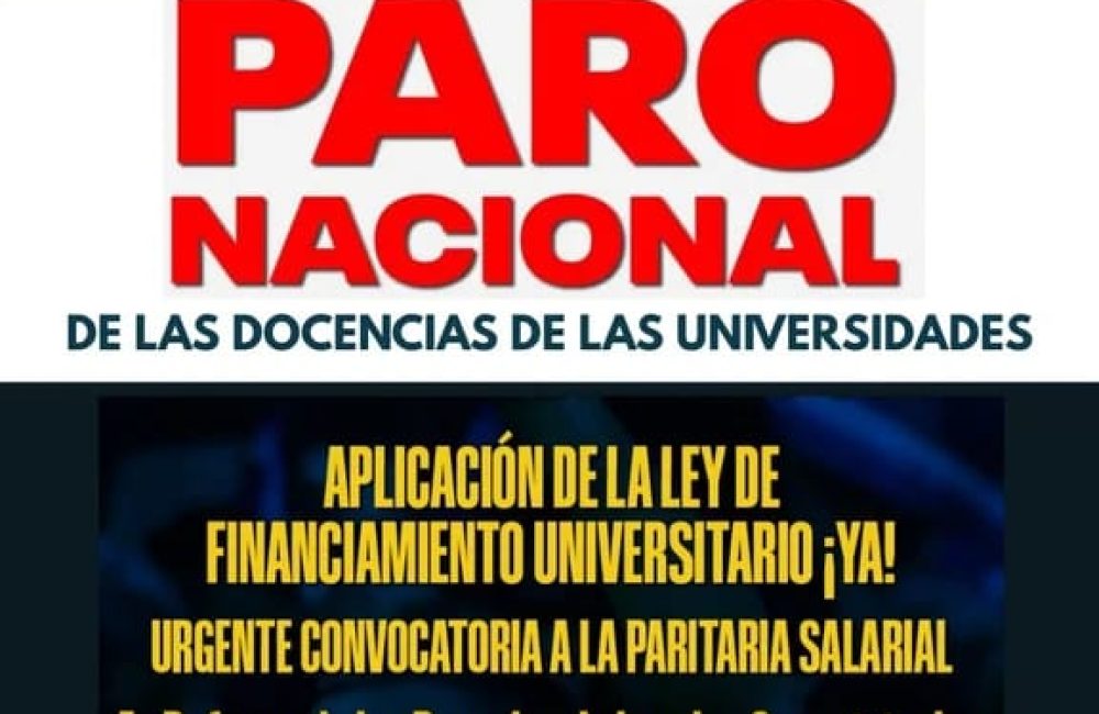 WhatsApp Image 2025-12-01 at 10.00.46