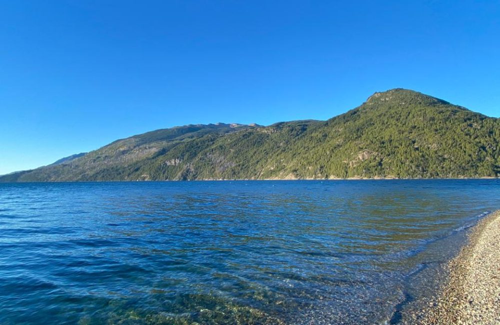 WhatsApp Image 2025-12-19 at 22.57.53