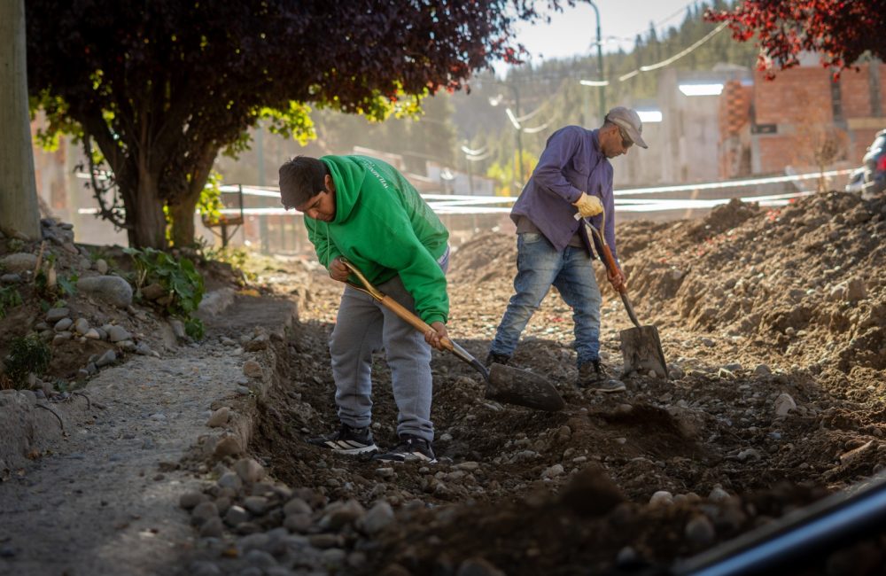 adoquinado barrio winter