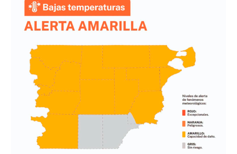 alerta amarilla portada