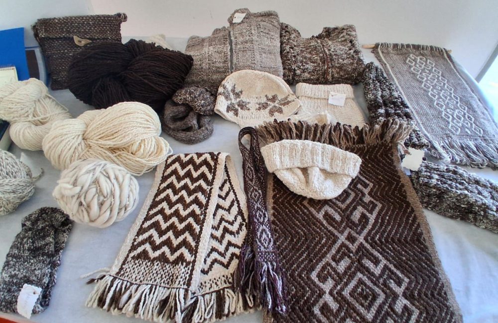 artesanias la trochita