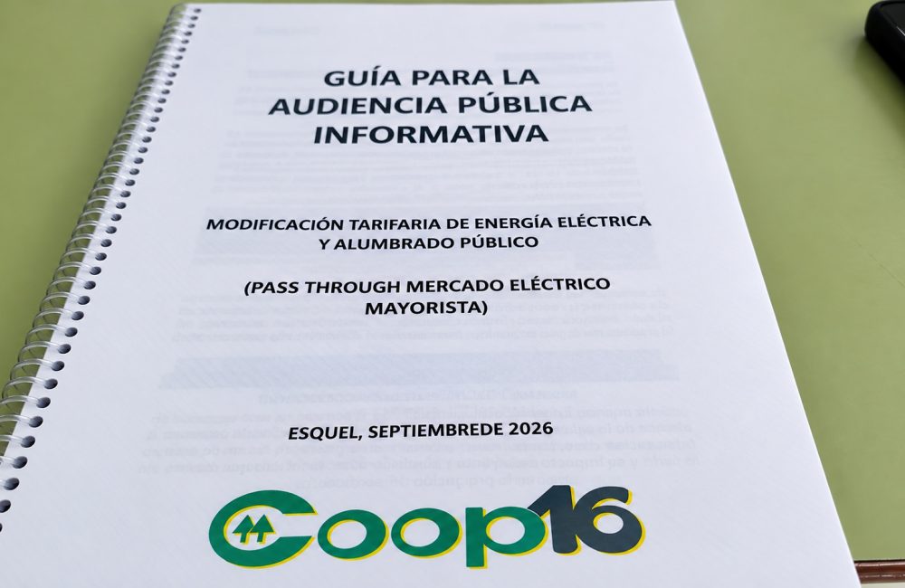 audiencia por los servicios 1