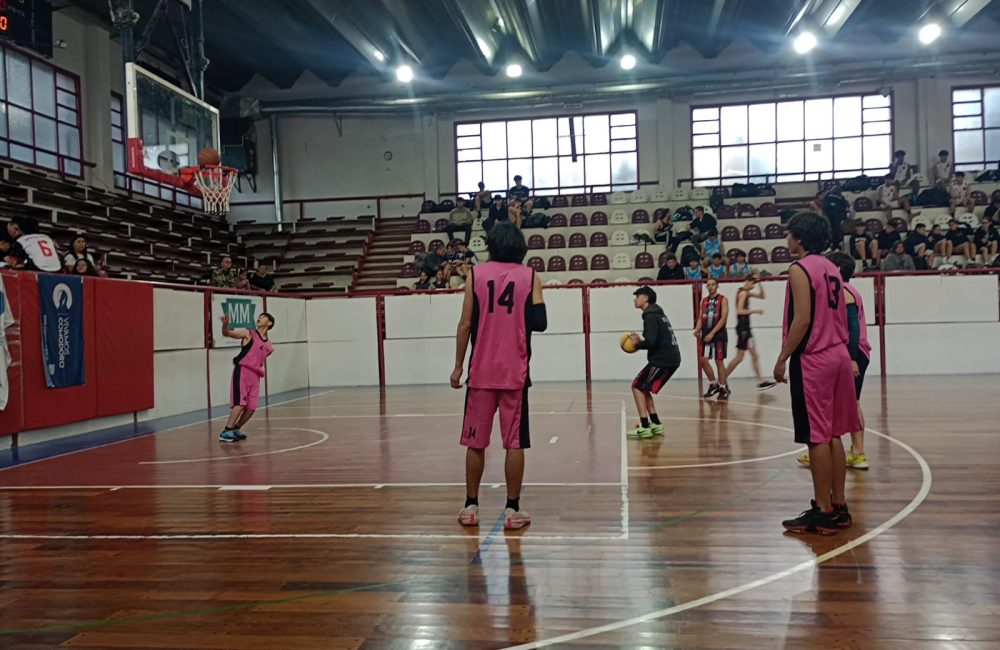 basquet 3