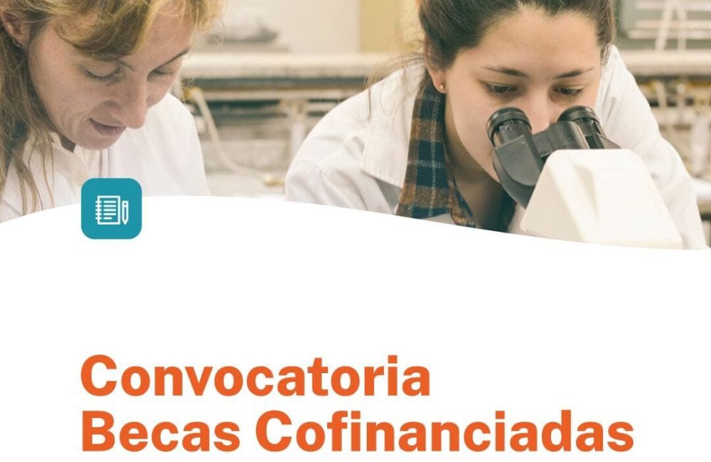 becas doctorales
