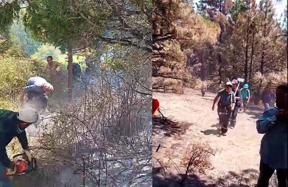 brigada paraje arroyo minas epuyen 03