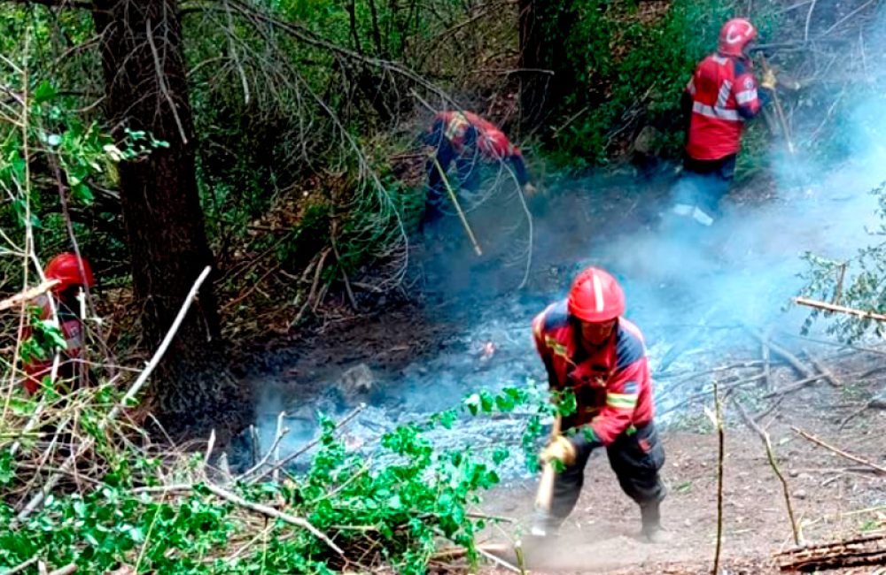 brigadistas incendio pto patriada